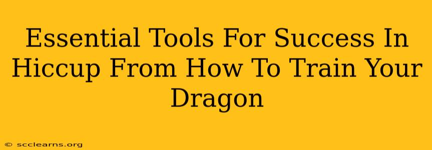 Essential Tools For Success In Hiccup From How To Train Your Dragon