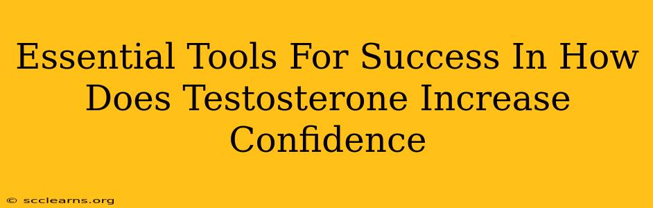 Essential Tools For Success In How Does Testosterone Increase Confidence