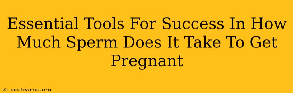 Essential Tools For Success In How Much Sperm Does It Take To Get Pregnant