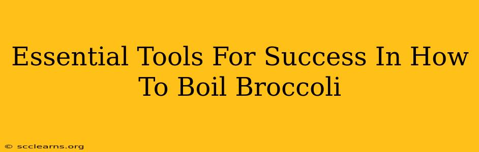 Essential Tools For Success In How To Boil Broccoli