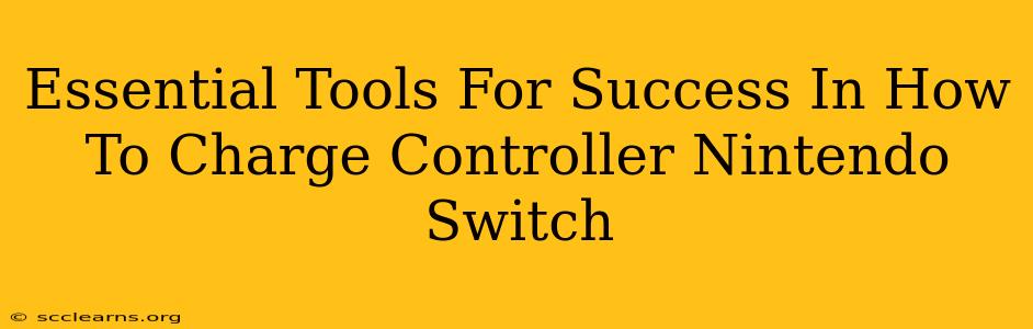 Essential Tools For Success In How To Charge Controller Nintendo Switch