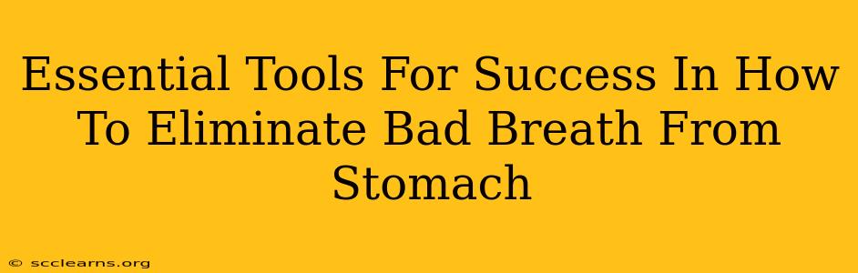 Essential Tools For Success In How To Eliminate Bad Breath From Stomach