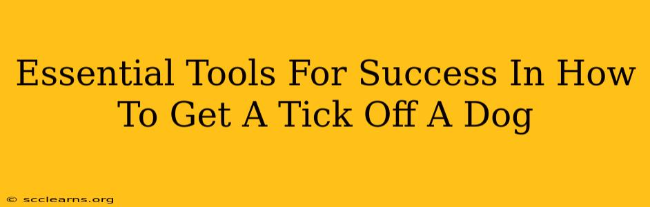 Essential Tools For Success In How To Get A Tick Off A Dog