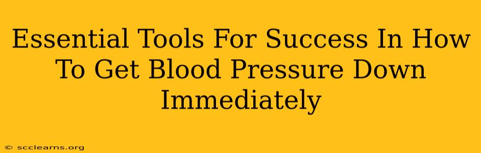 Essential Tools For Success In How To Get Blood Pressure Down Immediately