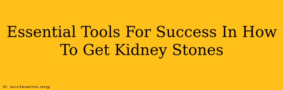 Essential Tools For Success In How To Get Kidney Stones