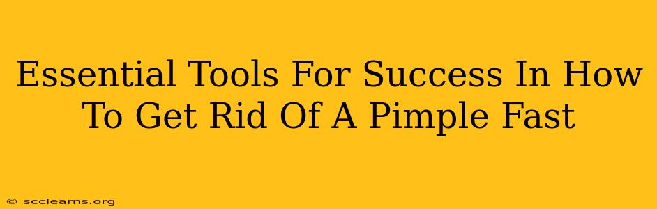 Essential Tools For Success In How To Get Rid Of A Pimple Fast