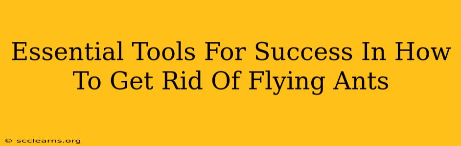 Essential Tools For Success In How To Get Rid Of Flying Ants