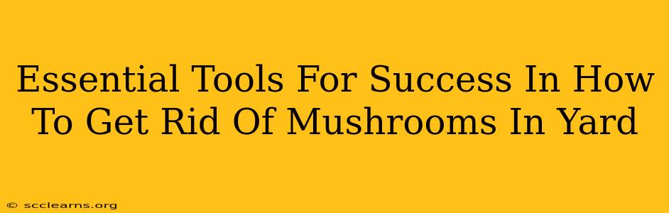 Essential Tools For Success In How To Get Rid Of Mushrooms In Yard