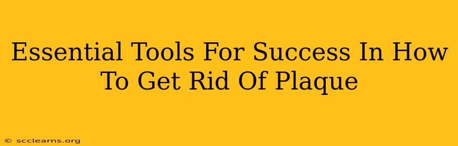 Essential Tools For Success In How To Get Rid Of Plaque