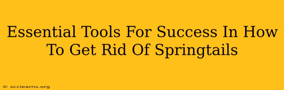 Essential Tools For Success In How To Get Rid Of Springtails