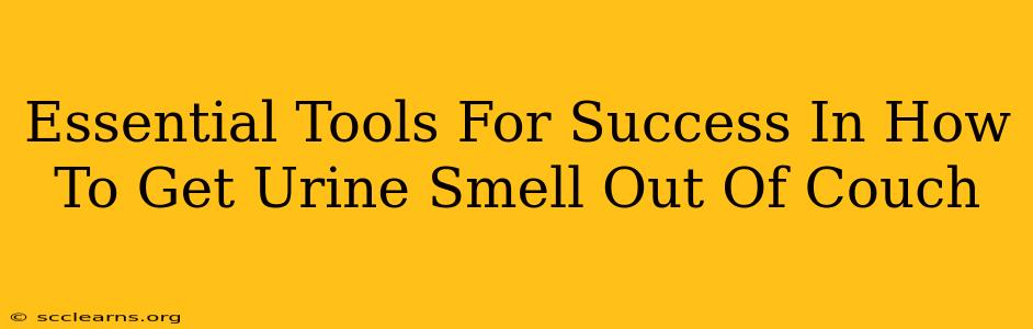 Essential Tools For Success In How To Get Urine Smell Out Of Couch