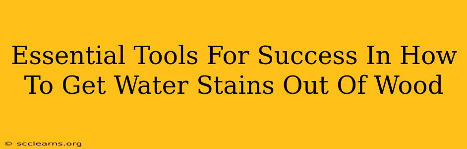 Essential Tools For Success In How To Get Water Stains Out Of Wood