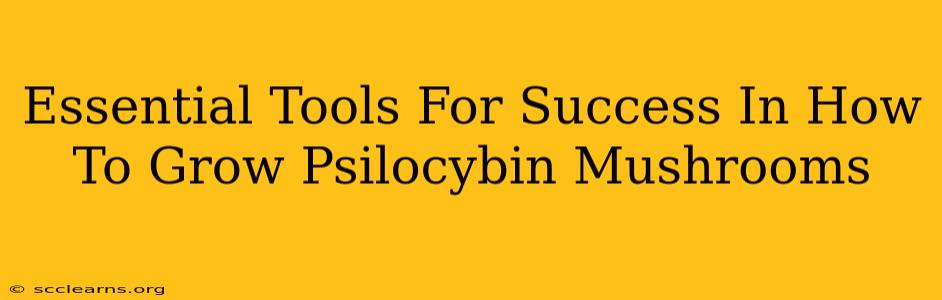 Essential Tools For Success In How To Grow Psilocybin Mushrooms