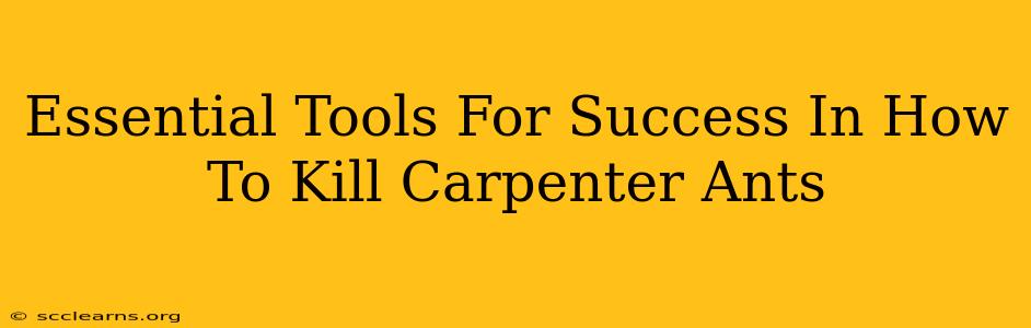 Essential Tools For Success In How To Kill Carpenter Ants