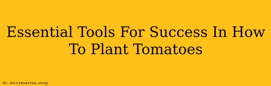 Essential Tools For Success In How To Plant Tomatoes