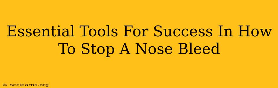 Essential Tools For Success In How To Stop A Nose Bleed