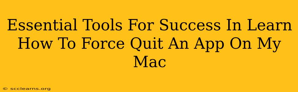 Essential Tools For Success In Learn How To Force Quit An App On My Mac