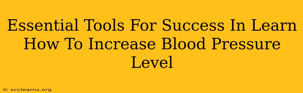 Essential Tools For Success In Learn How To Increase Blood Pressure Level