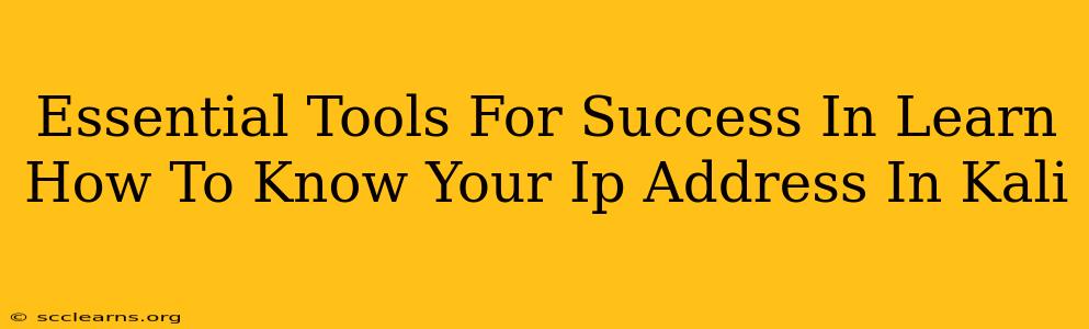 Essential Tools For Success In Learn How To Know Your Ip Address In Kali