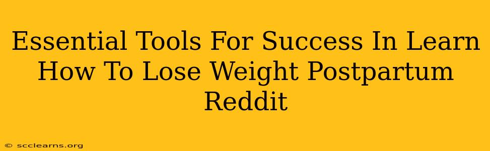 Essential Tools For Success In Learn How To Lose Weight Postpartum Reddit