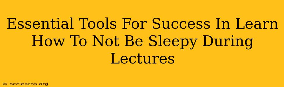 Essential Tools For Success In Learn How To Not Be Sleepy During Lectures