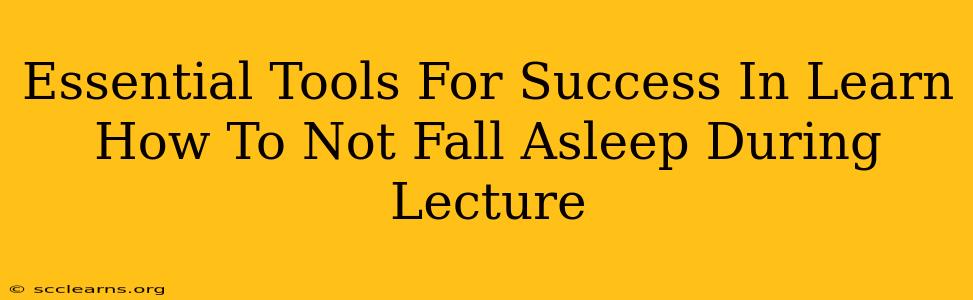 Essential Tools For Success In Learn How To Not Fall Asleep During Lecture