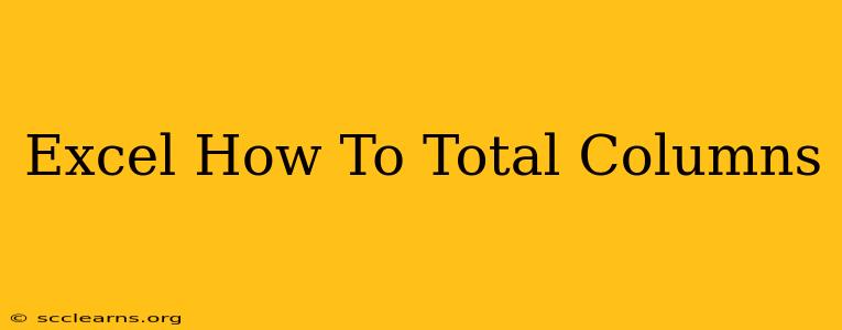 Excel How To Total Columns