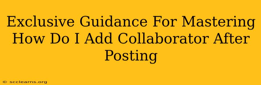 Exclusive Guidance For Mastering How Do I Add Collaborator After Posting