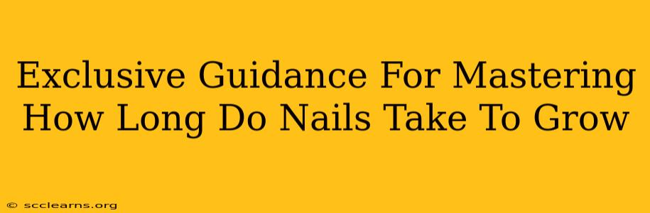 Exclusive Guidance For Mastering How Long Do Nails Take To Grow