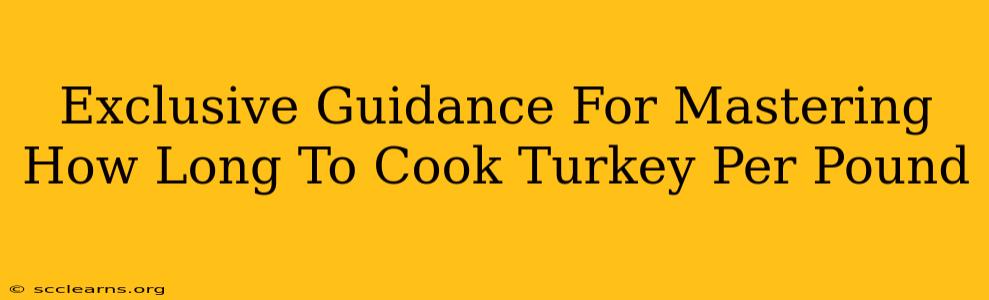 Exclusive Guidance For Mastering How Long To Cook Turkey Per Pound