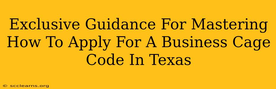 Exclusive Guidance For Mastering How To Apply For A Business Cage Code In Texas