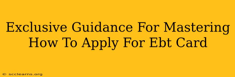 Exclusive Guidance For Mastering How To Apply For Ebt Card