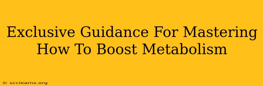 Exclusive Guidance For Mastering How To Boost Metabolism