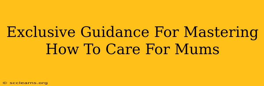 Exclusive Guidance For Mastering How To Care For Mums