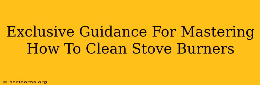 Exclusive Guidance For Mastering How To Clean Stove Burners