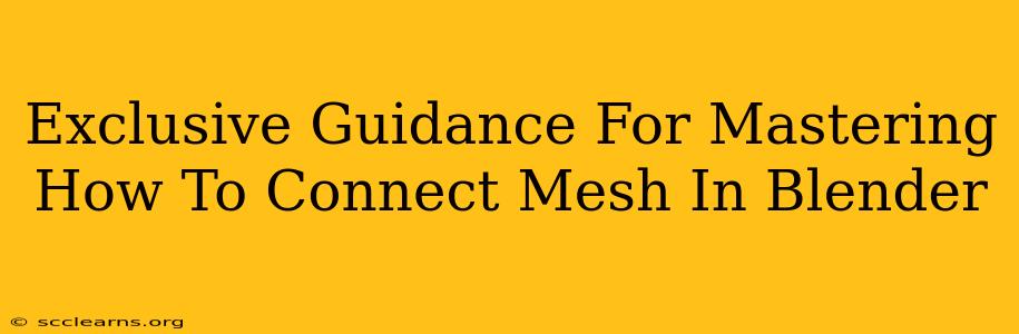 Exclusive Guidance For Mastering How To Connect Mesh In Blender