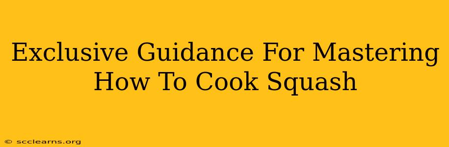 Exclusive Guidance For Mastering How To Cook Squash