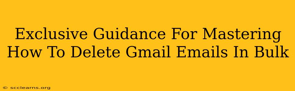 Exclusive Guidance For Mastering How To Delete Gmail Emails In Bulk