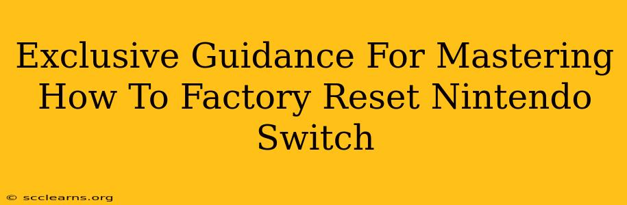 Exclusive Guidance For Mastering How To Factory Reset Nintendo Switch