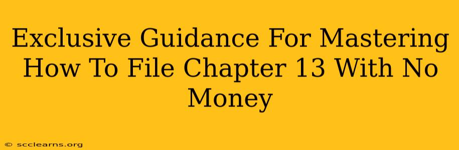 Exclusive Guidance For Mastering How To File Chapter 13 With No Money