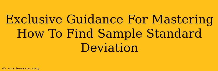 Exclusive Guidance For Mastering How To Find Sample Standard Deviation