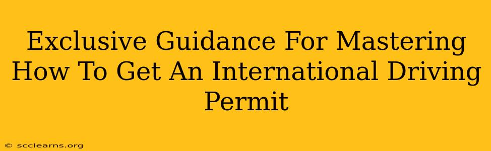 Exclusive Guidance For Mastering How To Get An International Driving Permit