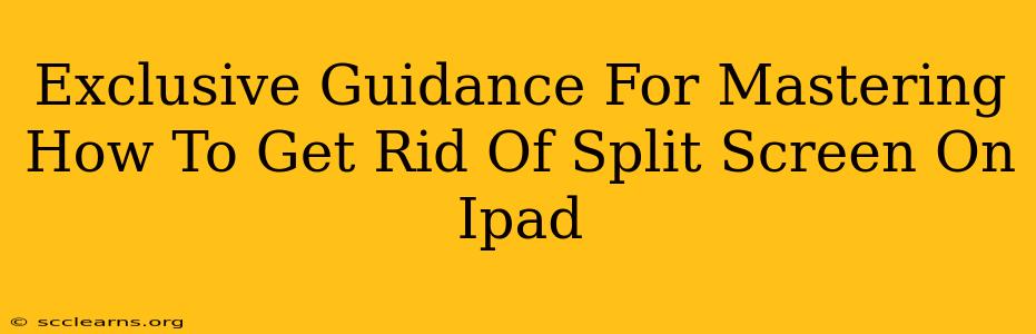 Exclusive Guidance For Mastering How To Get Rid Of Split Screen On Ipad