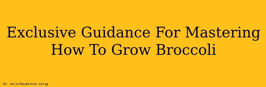 Exclusive Guidance For Mastering How To Grow Broccoli