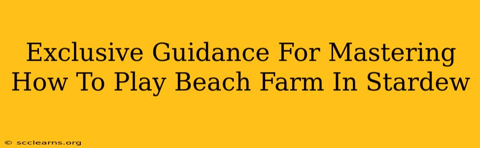 Exclusive Guidance For Mastering How To Play Beach Farm In Stardew