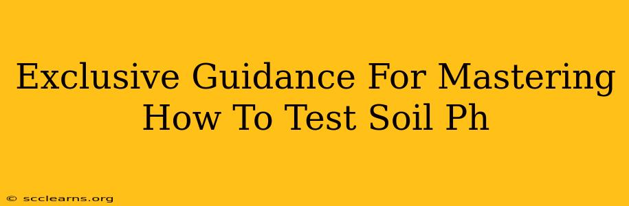 Exclusive Guidance For Mastering How To Test Soil Ph