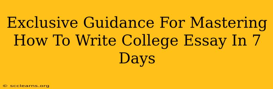 Exclusive Guidance For Mastering How To Write College Essay In 7 Days