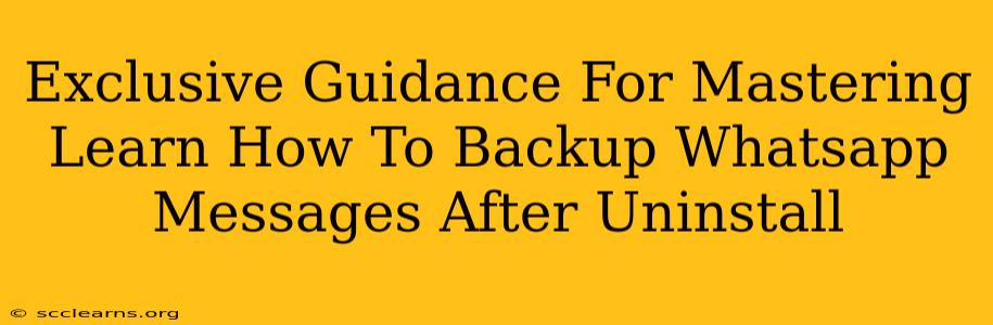 Exclusive Guidance For Mastering Learn How To Backup Whatsapp Messages After Uninstall