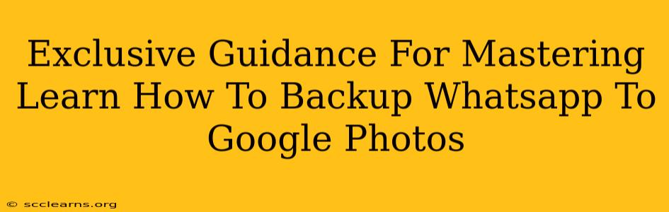 Exclusive Guidance For Mastering Learn How To Backup Whatsapp To Google Photos