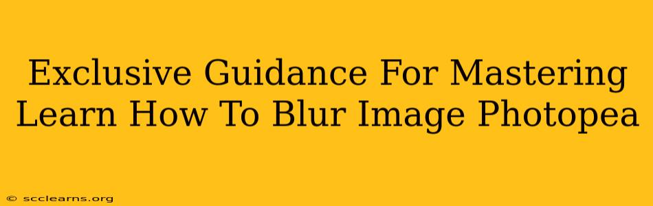 Exclusive Guidance For Mastering Learn How To Blur Image Photopea